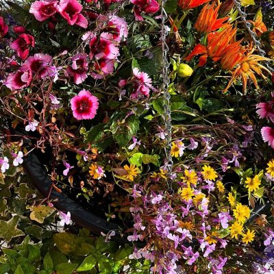 449531921 17862532464173888 8871434645670451235 N