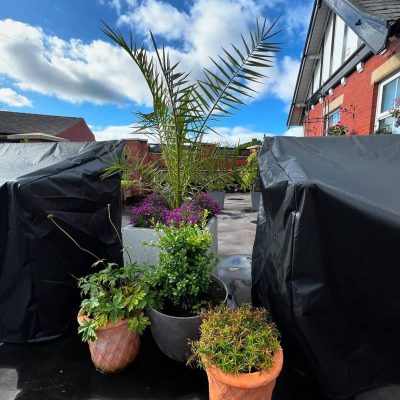 449826539 17862532500173888 3891899414389219340 N